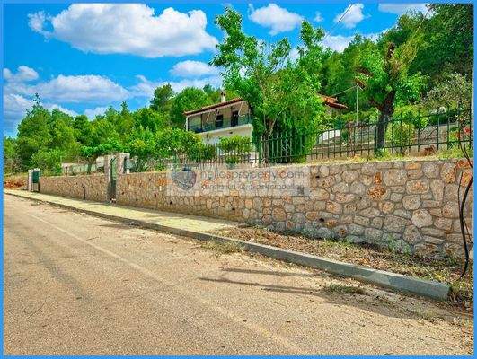 8dba6d72c03e455ab51fd325744ad1e1-original