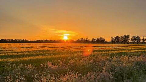 Winsen (Luhe) Grundstücke, Winsen (Luhe) Grundstück kaufen
