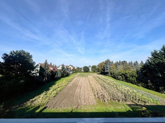 Fernblick Terrasse