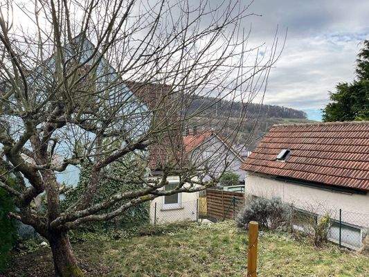 Garten mit Nebengebäude