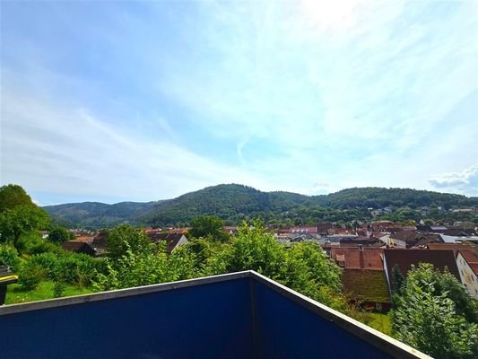 Fernblick Dachterrasse