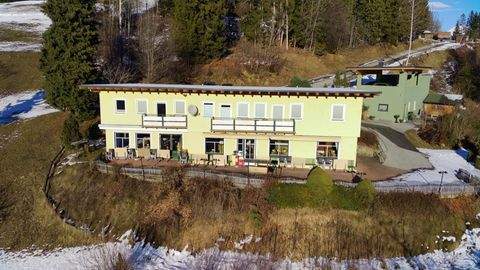 Iselsberg Halle, Iselsberg Hallenfläche