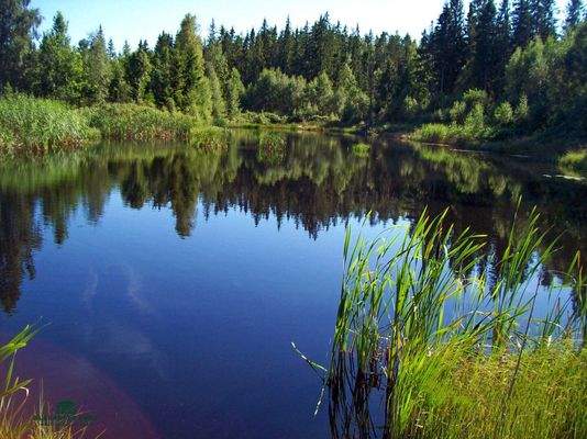 Forstbetrieb – Landwirtschaft – Eigenjagd Südschweden - Immobilien-Kurz-Salzburg