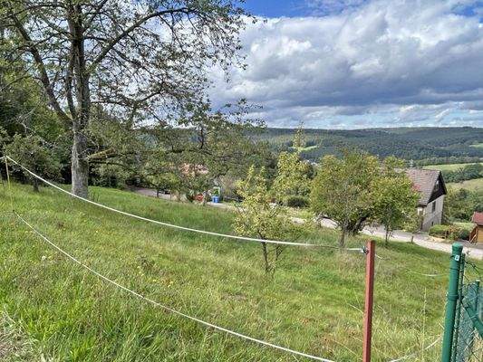 Blick über das Grundstück