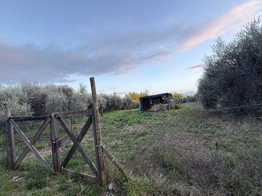 Grundstück-Follonica-4001-02