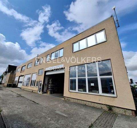 Harsum Halle, Harsum Hallenfläche