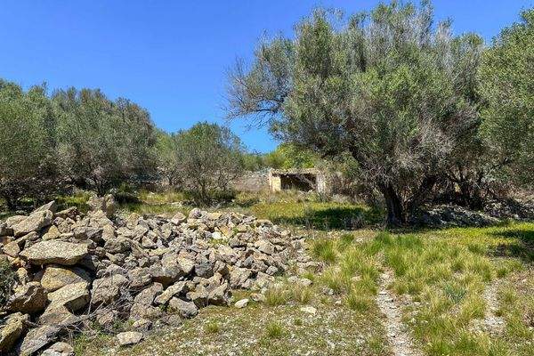 Platz für Hühner oder Ziegen