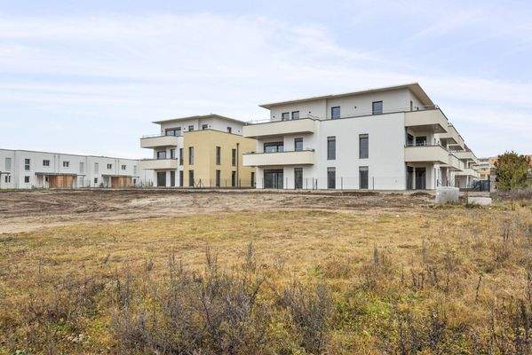 Bella Vita - Wiener Neustadt