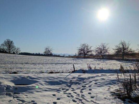 Herrlicher Blick bis in die Berge