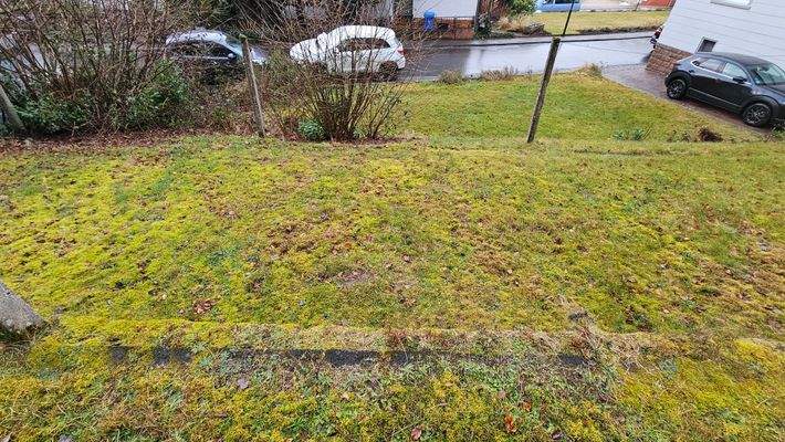 Teilansicht Grundstück.jpg