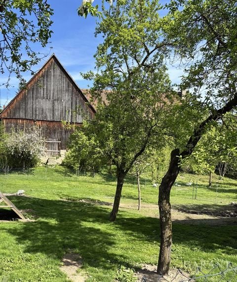 Dachsbach Häuser, Dachsbach Haus kaufen