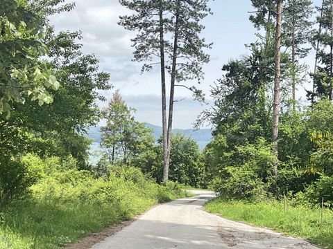 Gorni okol Bauernhöfe, Landwirtschaft, Gorni okol Forstwirtschaft