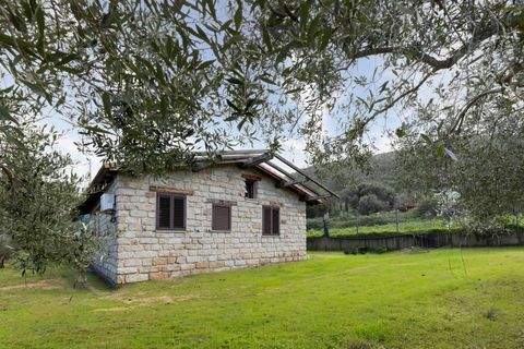 Arbus Häuser, Arbus Haus kaufen