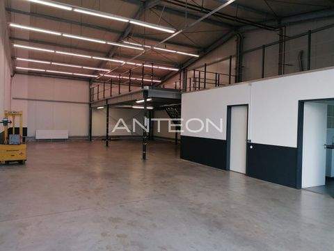 Dormagen Halle, Dormagen Hallenfläche