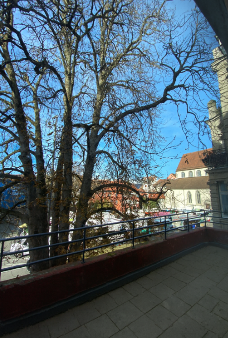 Konstanz Wohnungen, Konstanz Wohnung mieten