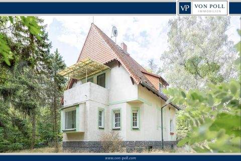 Trebbin Häuser, Trebbin Haus kaufen