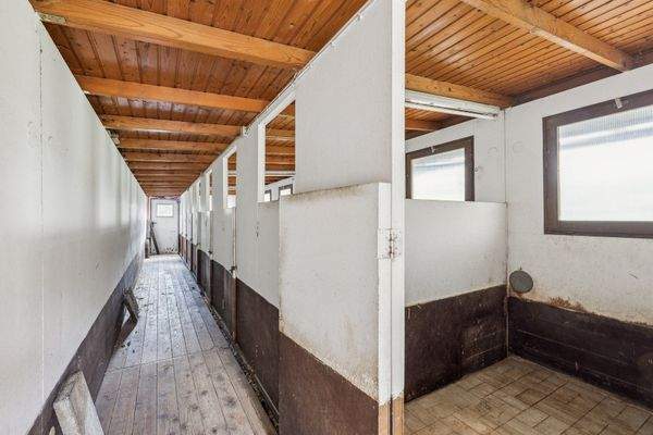 Hundezwinger von innen 