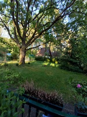 Blick in den Garten im Sommer