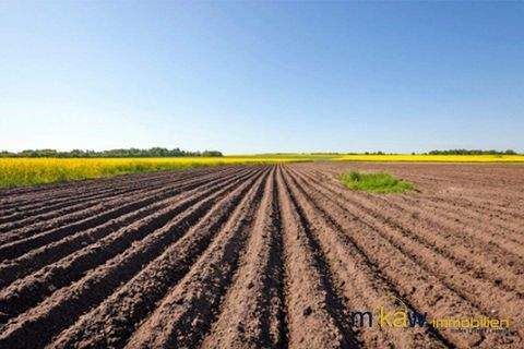 Lochen am See Bauernhöfe, Landwirtschaft, Lochen am See Forstwirtschaft