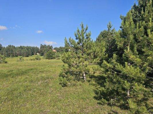 8da08bd8-ad05-4f8f-b181-e5d95dd509a2