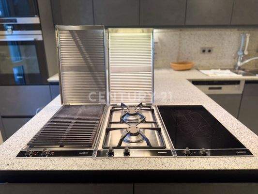 Grill-, Gas- und Elektroplatte