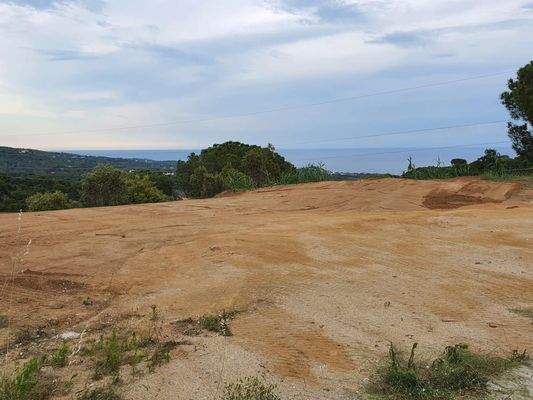 PHOTO-2025-07-24-17-07-10