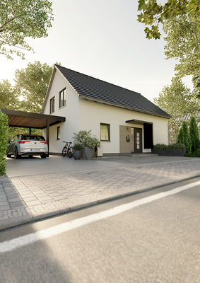 Ext_Einfamilienhaus_Bodensee_129_StreetView_Carpor
