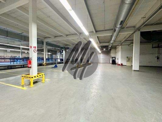 INFOS UNTER: 06171-586000