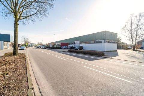 Rheine Halle, Rheine Hallenfläche