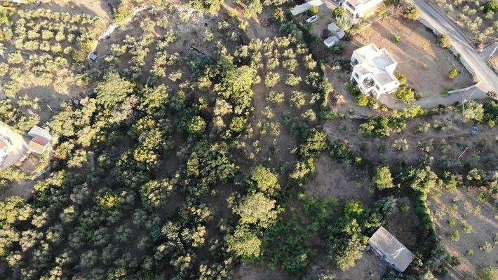 Kreta, Neo Chorio: Charmantes Baugrundstück mit Olivenbäumen und Panoramablick im Apokoronas zu verkaufen
