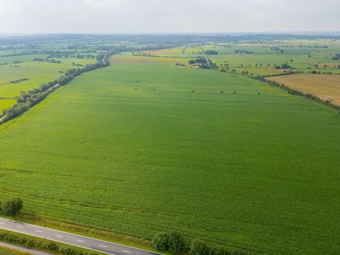 Oldersbek Bauernhöfe, Landwirtschaft, Oldersbek Forstwirtschaft