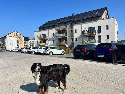 Hundefreundliche 2Zi DG Wohnung in Bestensee