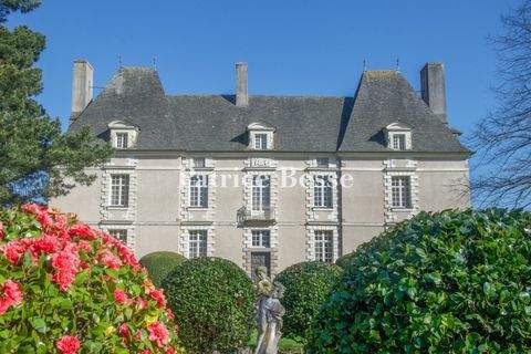 Rennes Häuser, Rennes Haus kaufen