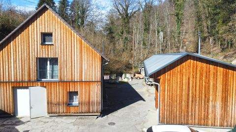 Ravensburg Bauernhöfe, Landwirtschaft, Ravensburg Forstwirtschaft