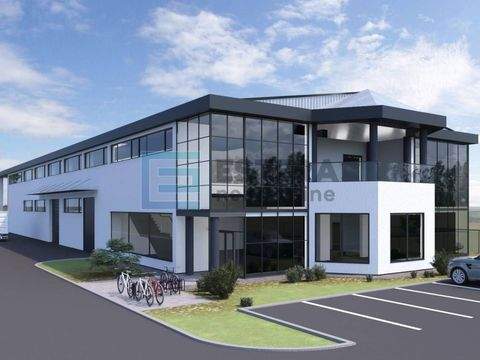 Vrbovec Halle, Vrbovec Hallenfläche