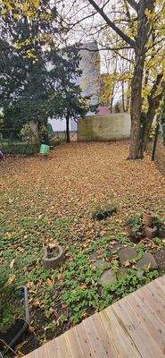 Blick in den Garten