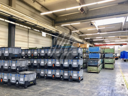 INFOS UNTER: 06171-586000