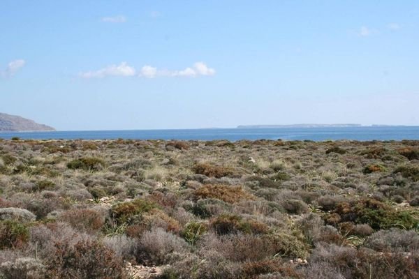 Kreta, Kalo Nero: Großes Grundstück direkt am Meer zu verkaufen