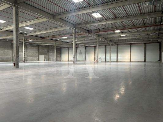 Beispielansicht Halle Köln