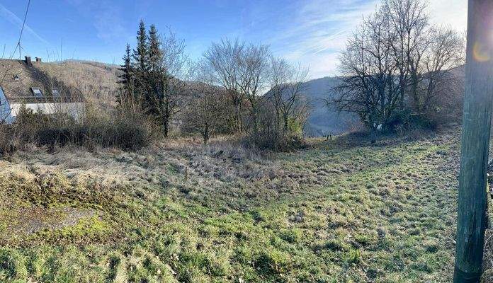 415286475_2300586760134963_4468816626936738006_n.j