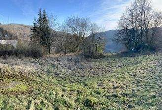 415286475_2300586760134963_4468816626936738006_n.j