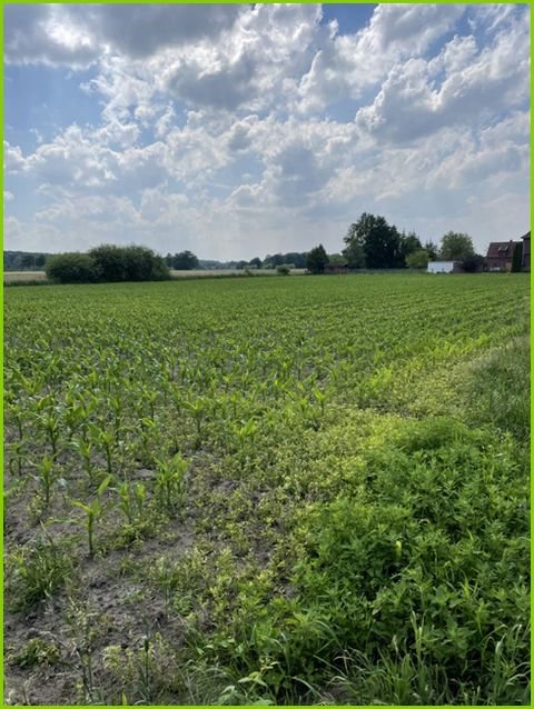 Hamm Bauernhöfe, Landwirtschaft, Hamm Forstwirtschaft