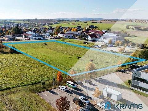 Bad Urach / Hengen Industrieflächen, Lagerflächen, Produktionshalle, Serviceflächen