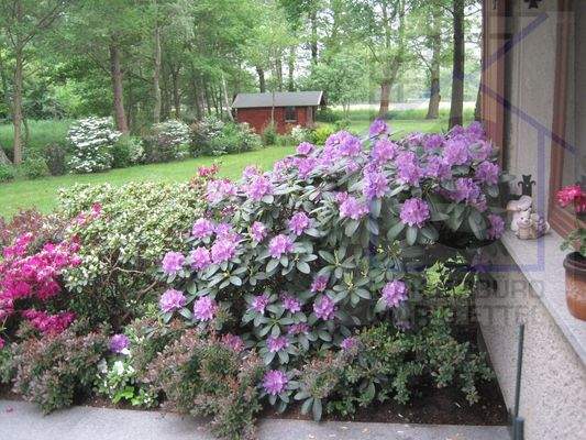 Blick zum Gartenhaus 