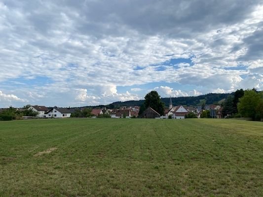 IMG_7790.jpeg