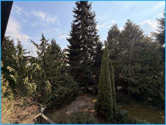 Blick zur Stadtmitte