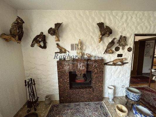 Kamin im Wohnzimmer EG