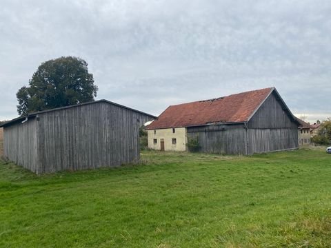 Osterhofen Bauernhöfe, Landwirtschaft, Osterhofen Forstwirtschaft