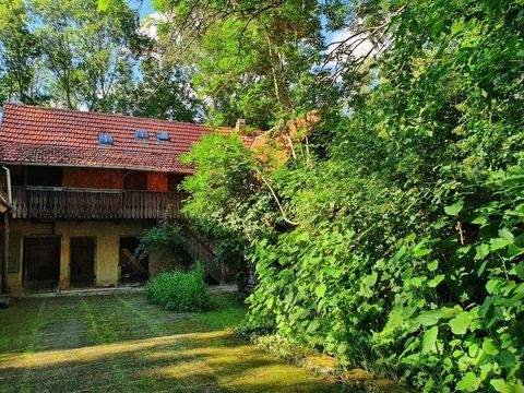 Kölleda Bauernhöfe, Landwirtschaft, Kölleda Forstwirtschaft