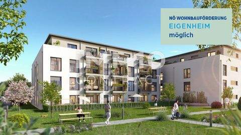 Ober-Grafendorf Wohnungen, Ober-Grafendorf Wohnung kaufen